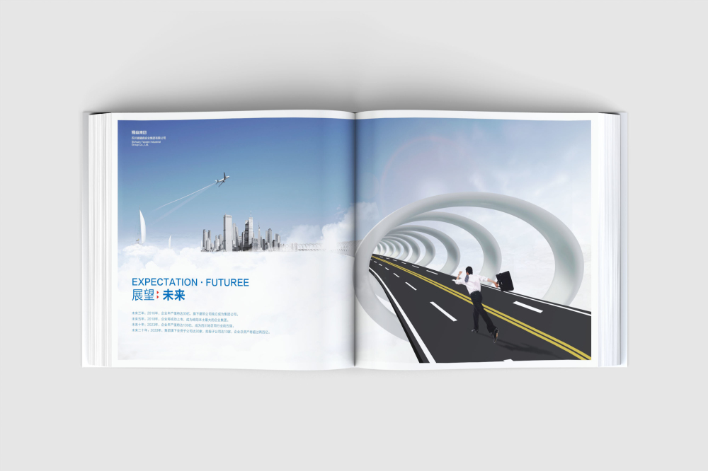 瑞丽市画册设计